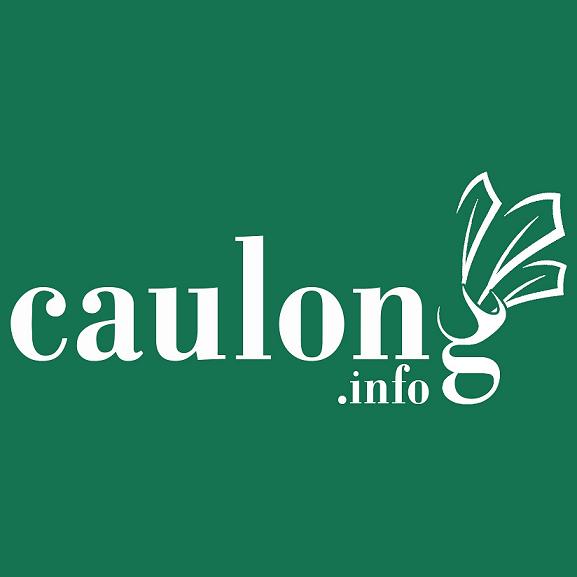 Bình luận của Admin