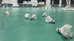 Giá cầu lông tăng giá đột biến, cung không đủ cầu tại Trung Quốc Giá cầu lông tăng giá đột biến, cung không đủ cầu tại Trung Quốc