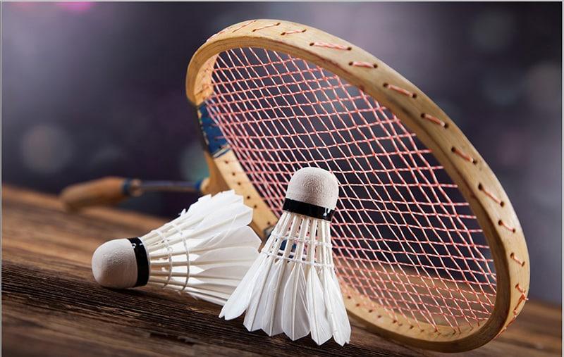 Giới thiệu môn Cầu Lông