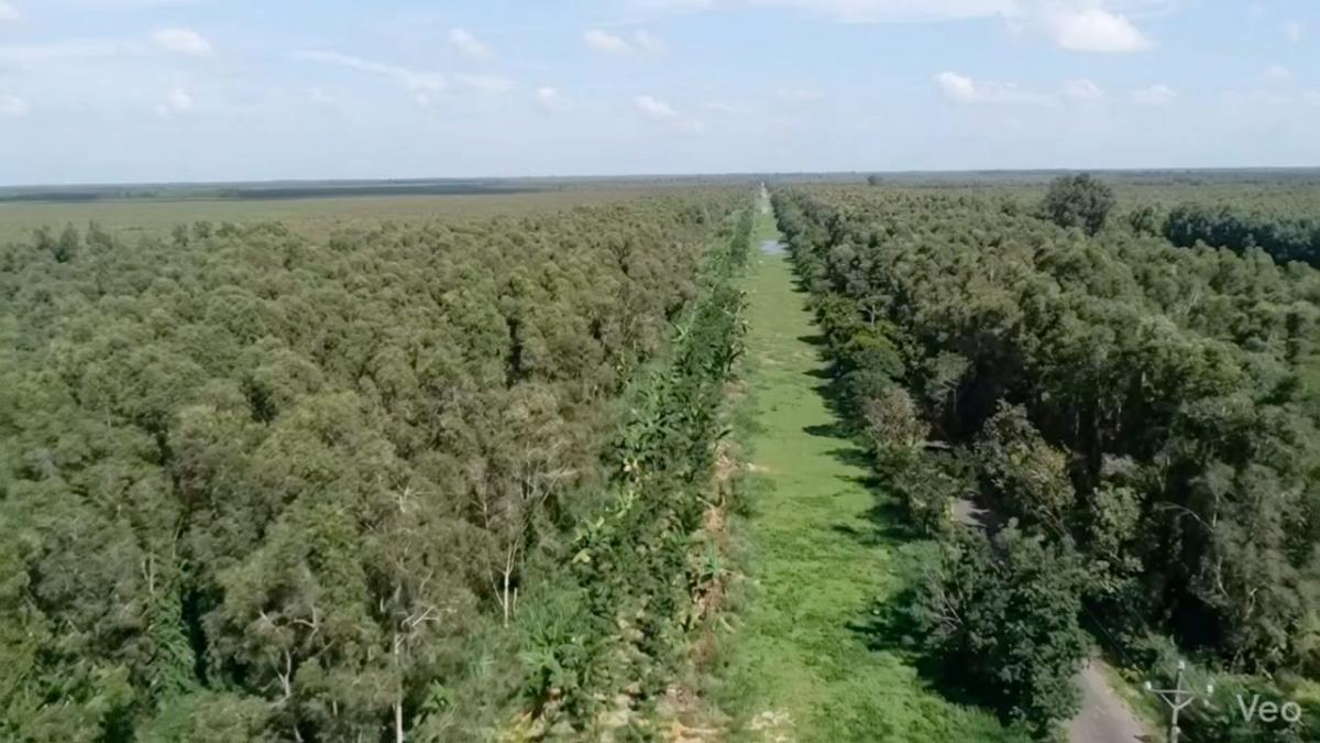 Bài đăng của Hoàng Thanh Lợi