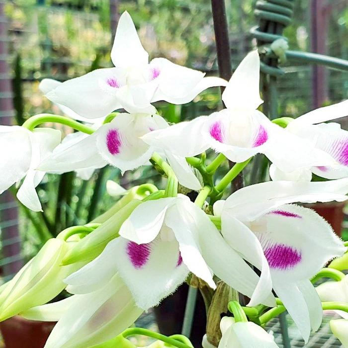 Bài đăng của Toanten