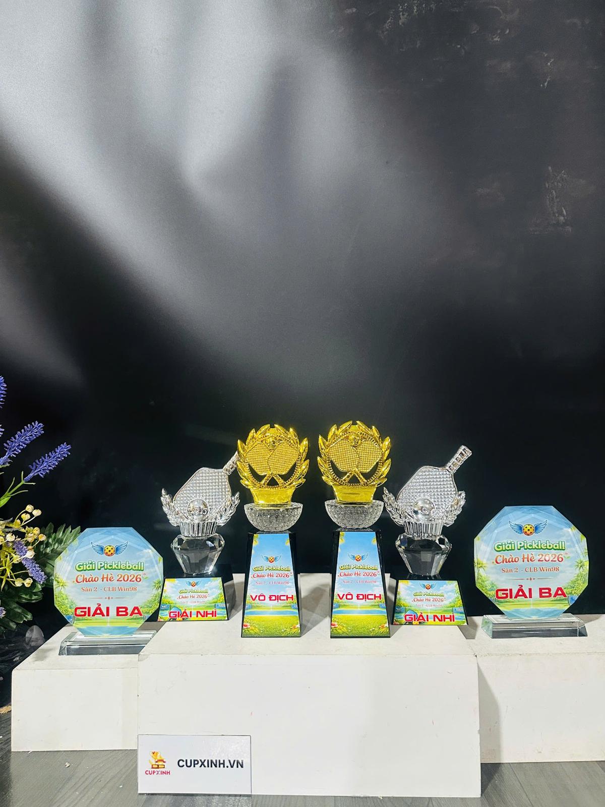 GIẢI PICKLEBALL CHÀO HÈ 2026