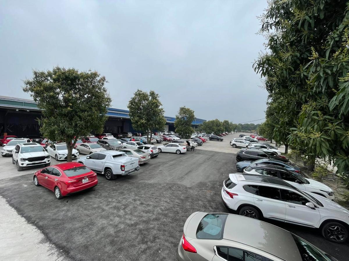 Sân Pickleball Bình Nguyên