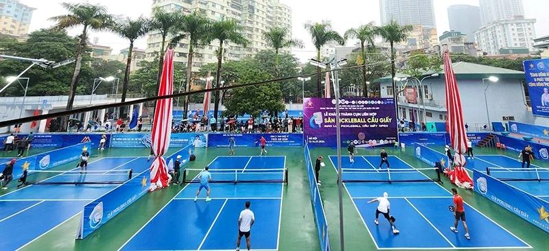 Sân Pickleball NTĐ Cầu Giấy