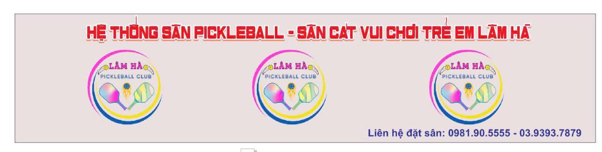 Sân Pickleball Lâm Hà