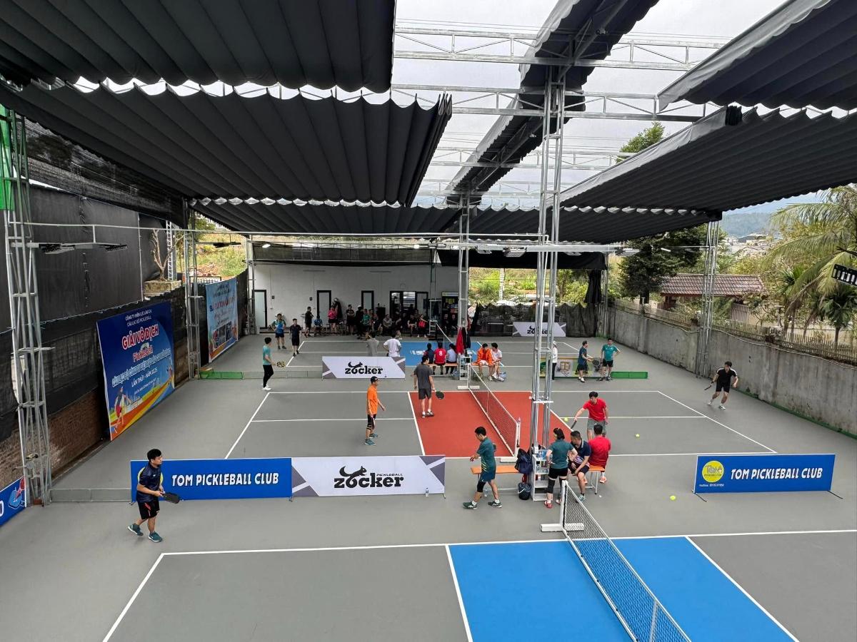 Sân Pickleball Tôm Cờ Lắp