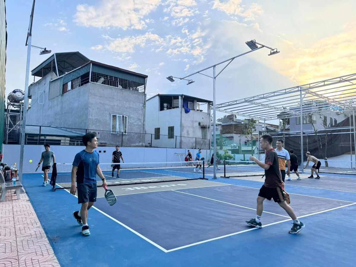 Sân Pickleball Scandic