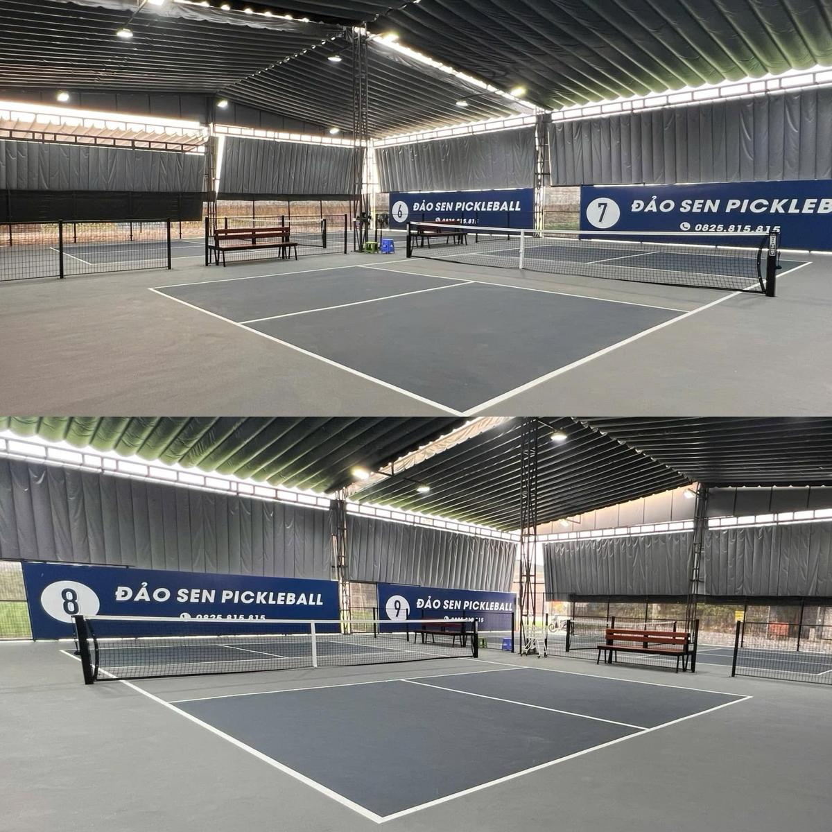 Sân Pickleball Đảo Sen