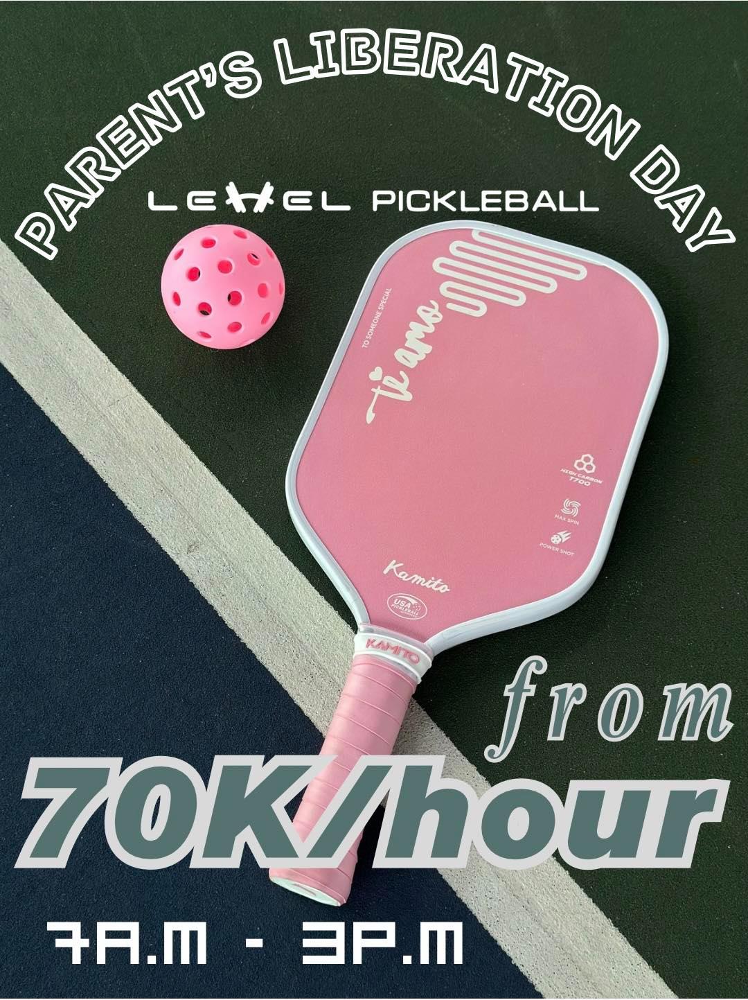 Sân LEVEL Pickleball - Palm Manor 
