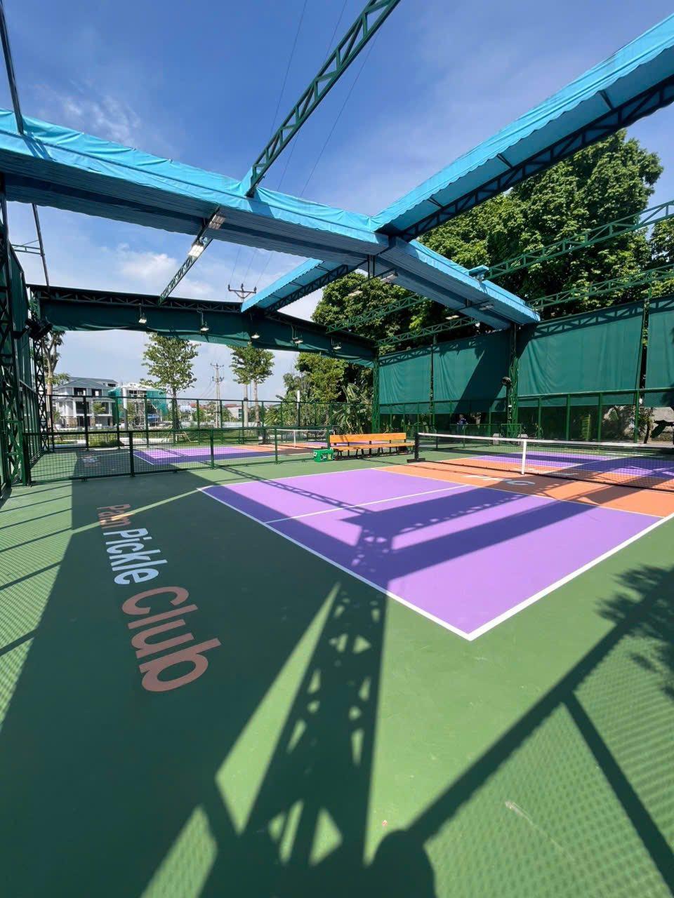 Sân LEVEL Pickleball - Palm Manor 