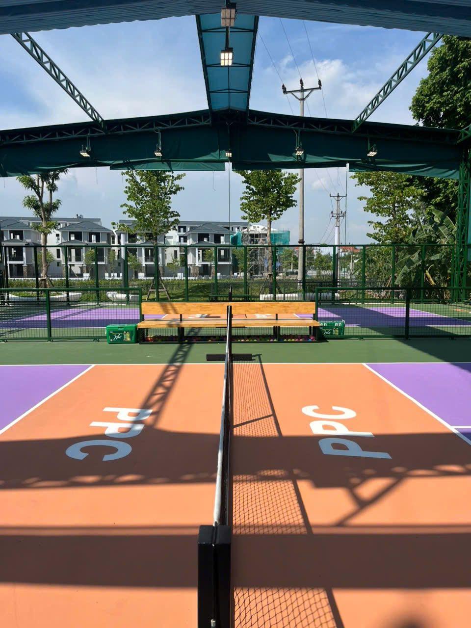 Sân LEVEL Pickleball - Palm Manor 