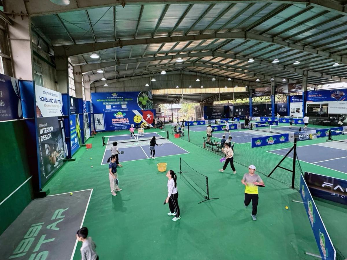 Sân Pickleball Star Club Việt Trì 