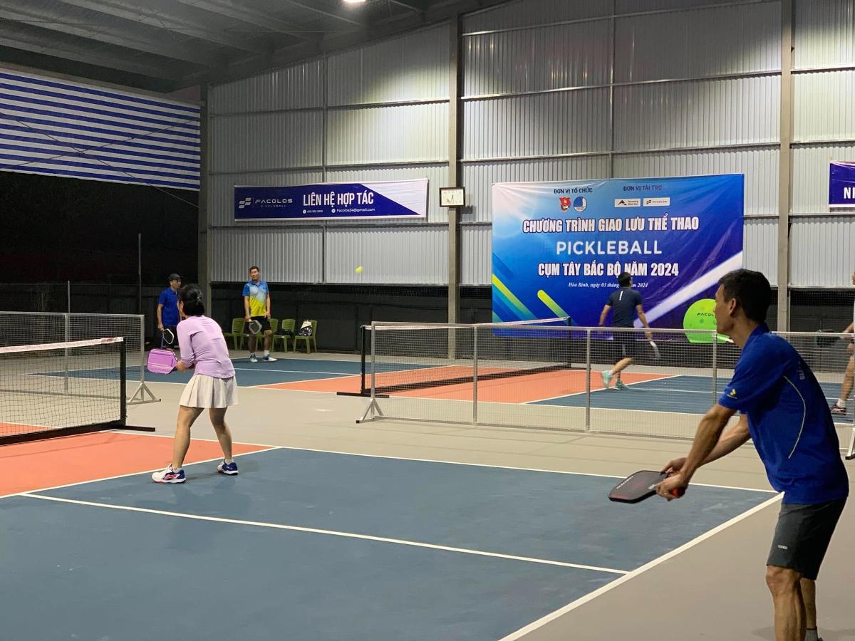 Sân Pickleball Minh Anh