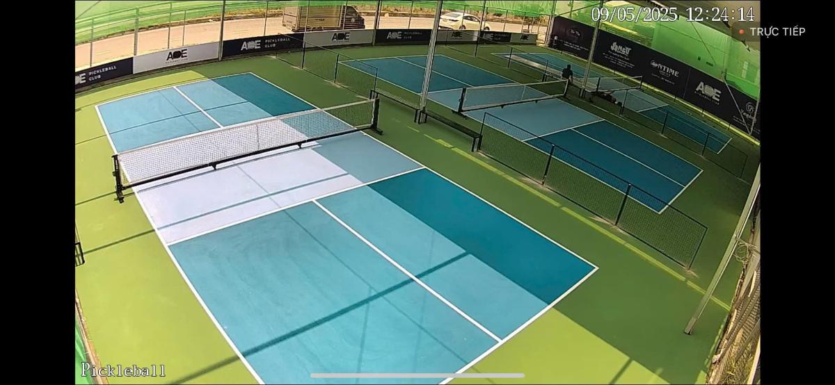 Sân Pickleball ACE Hải Phòng
