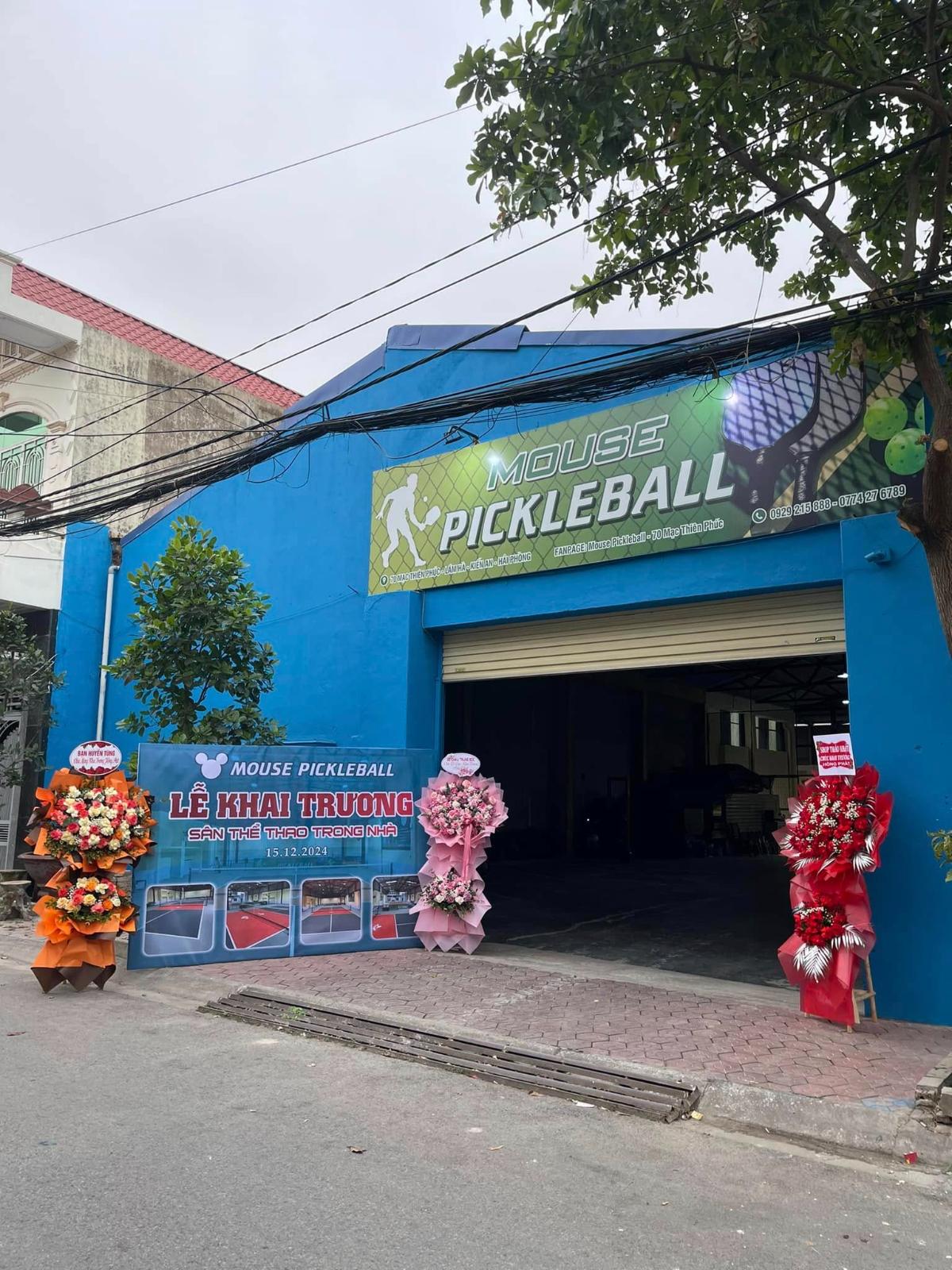 Sân Pickleball Mouse