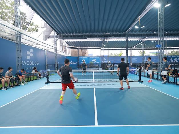 Sân Picklebal Paradise 