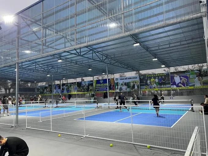 Sân Pickleball Tùng Đồ Sơn
