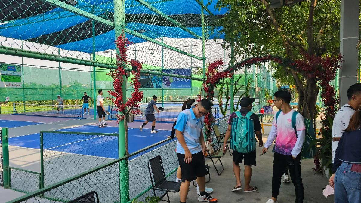 Sân Pickleball PICKO 247