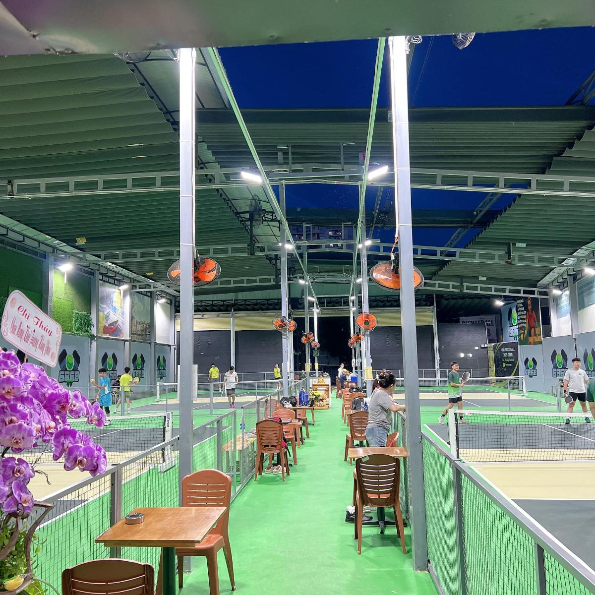 Sân Pickleball 6868