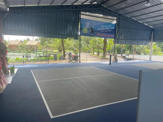 Sân Pickleball TTA