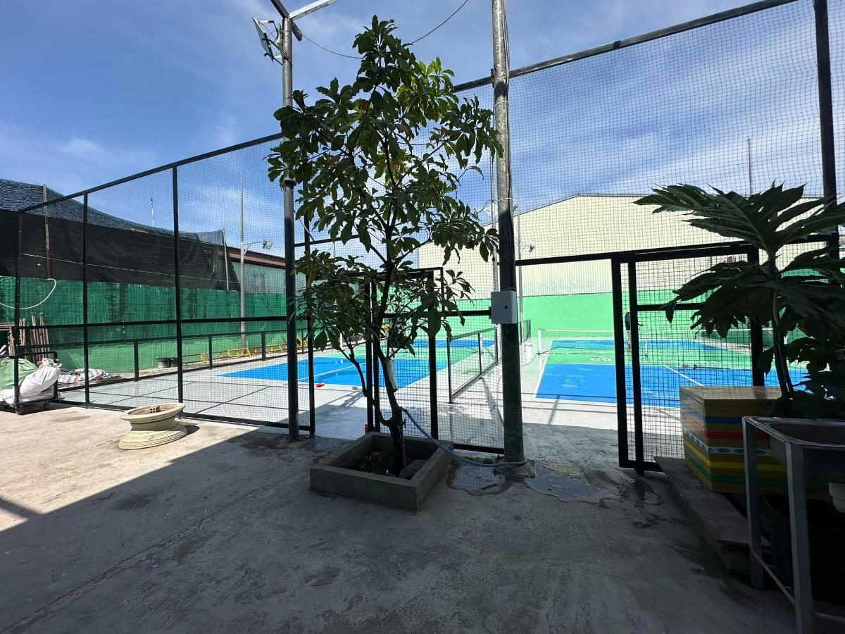 Sân Pickleball Cỏ