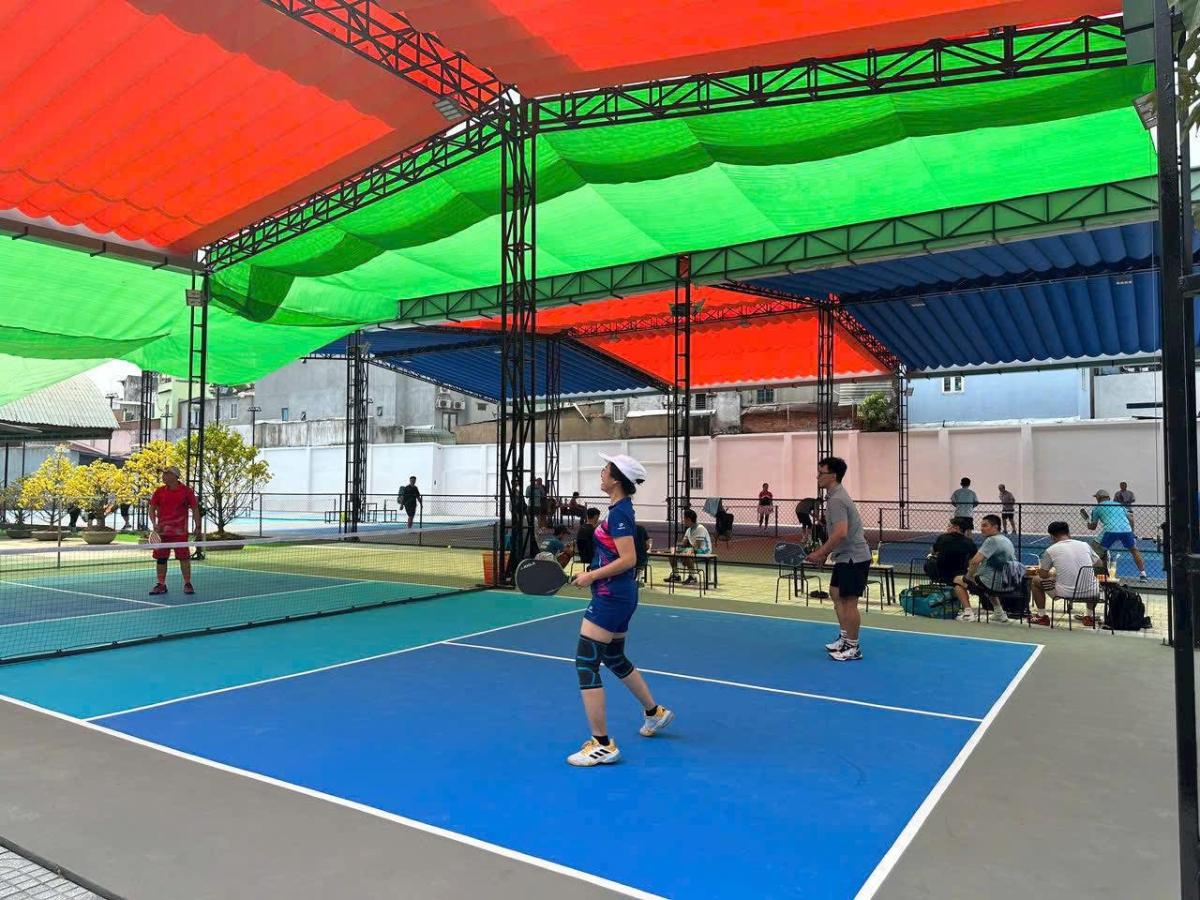 Sân Pickleball ACE Q8