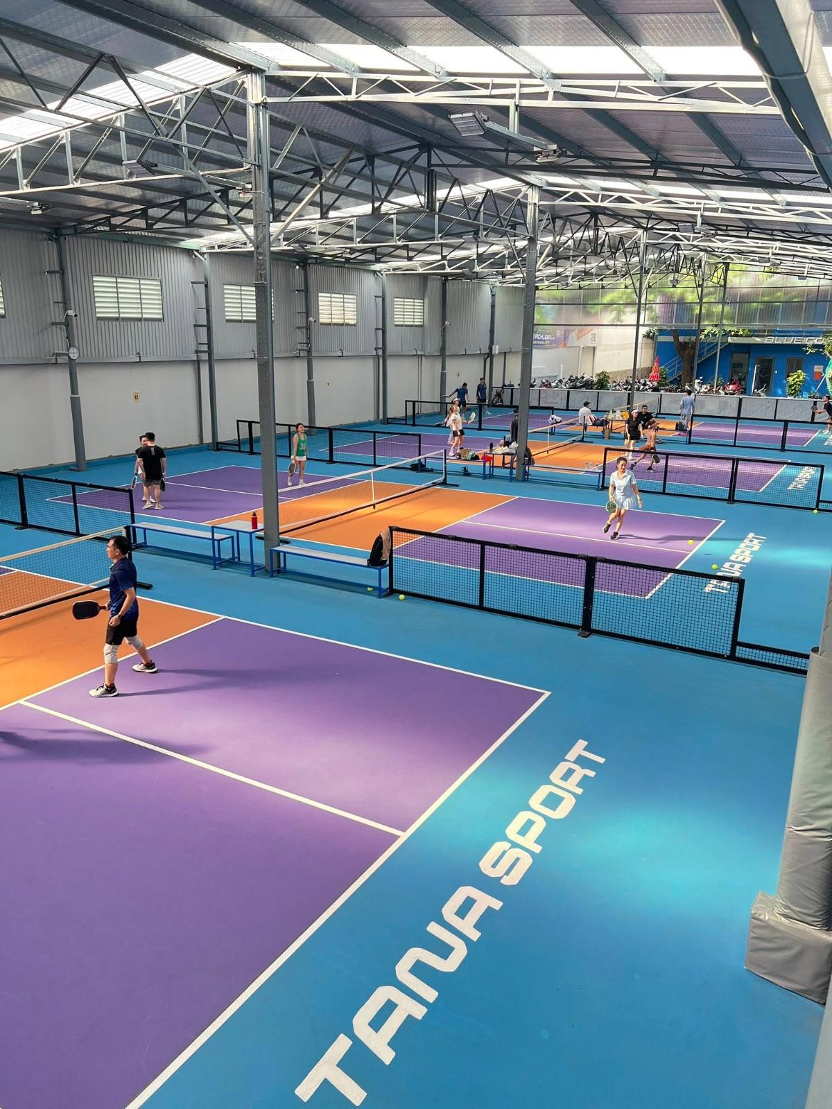 Sân Pickleball Tana Sports 