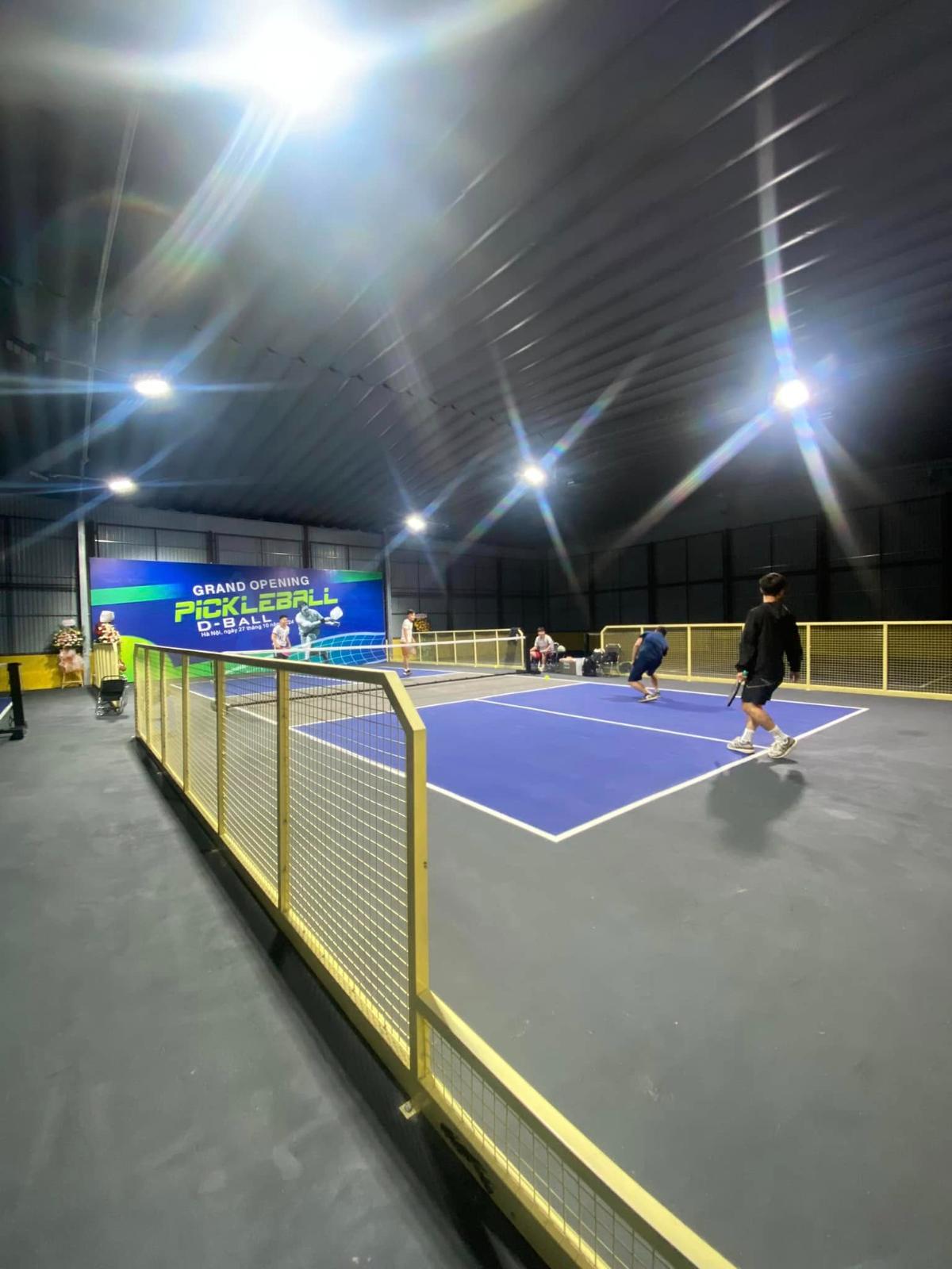 Sân Pickleball D-Ball 