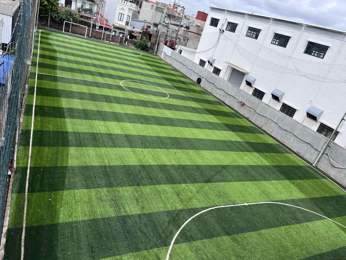 Sân Pickleball Phương Linh