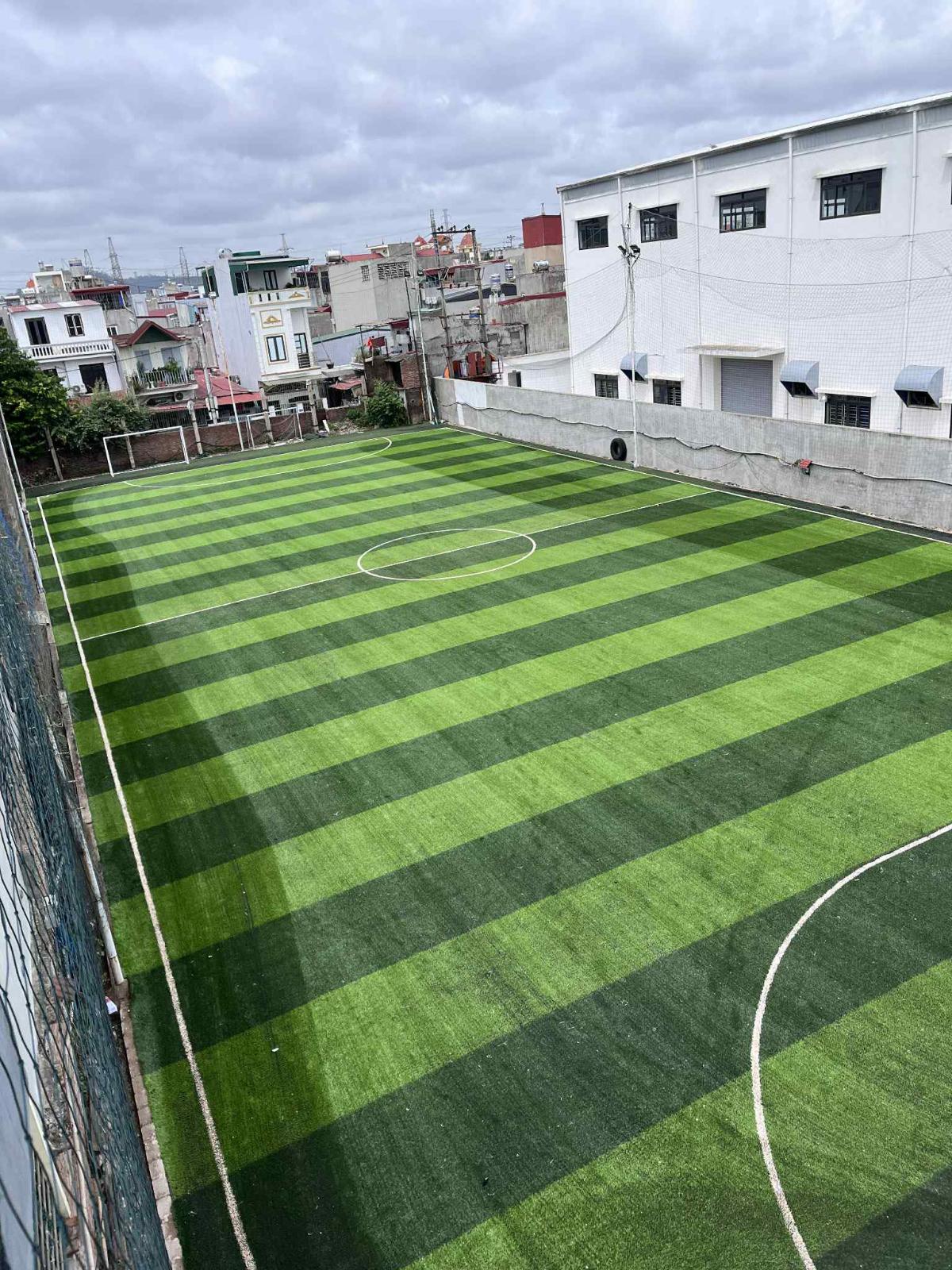 Sân Pickleball Phương Linh