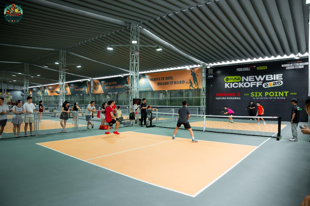 Sân Pickleball 6 Point