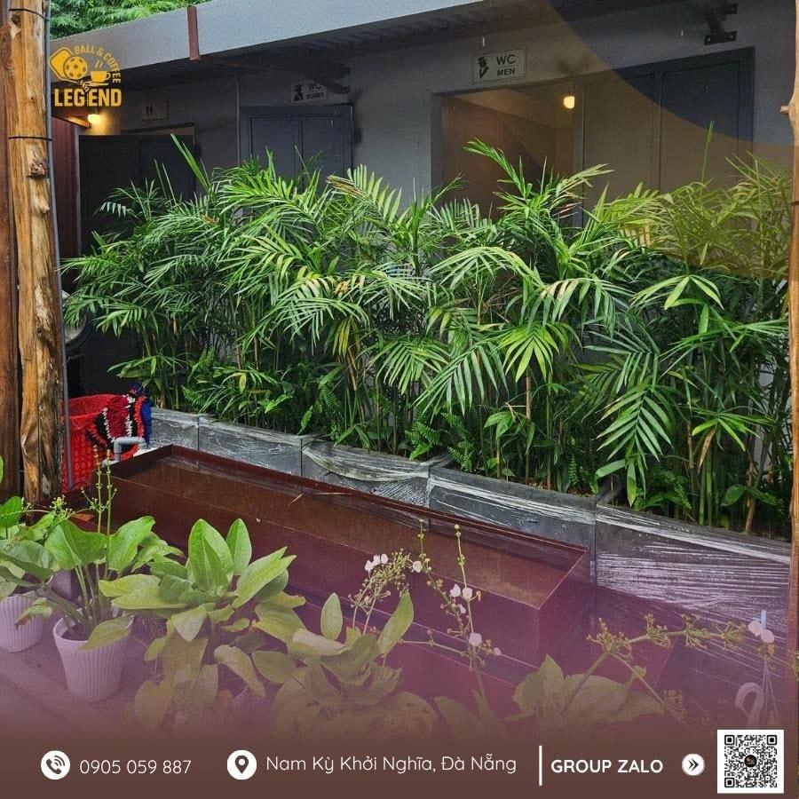 Sân Pickleball Legend