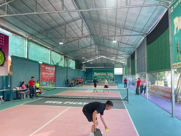 Sân Pickleball VIVA Stadium