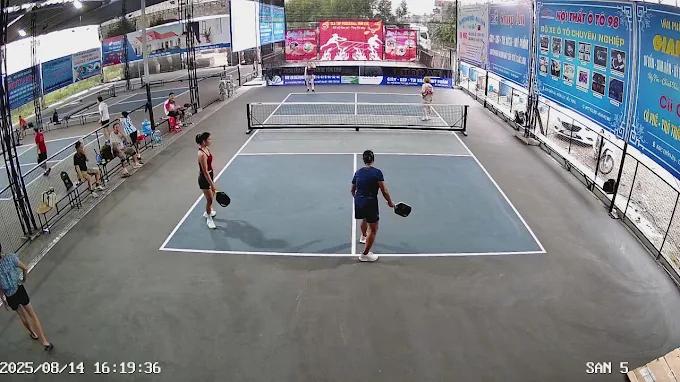 Sân Pickleball Liên Tục