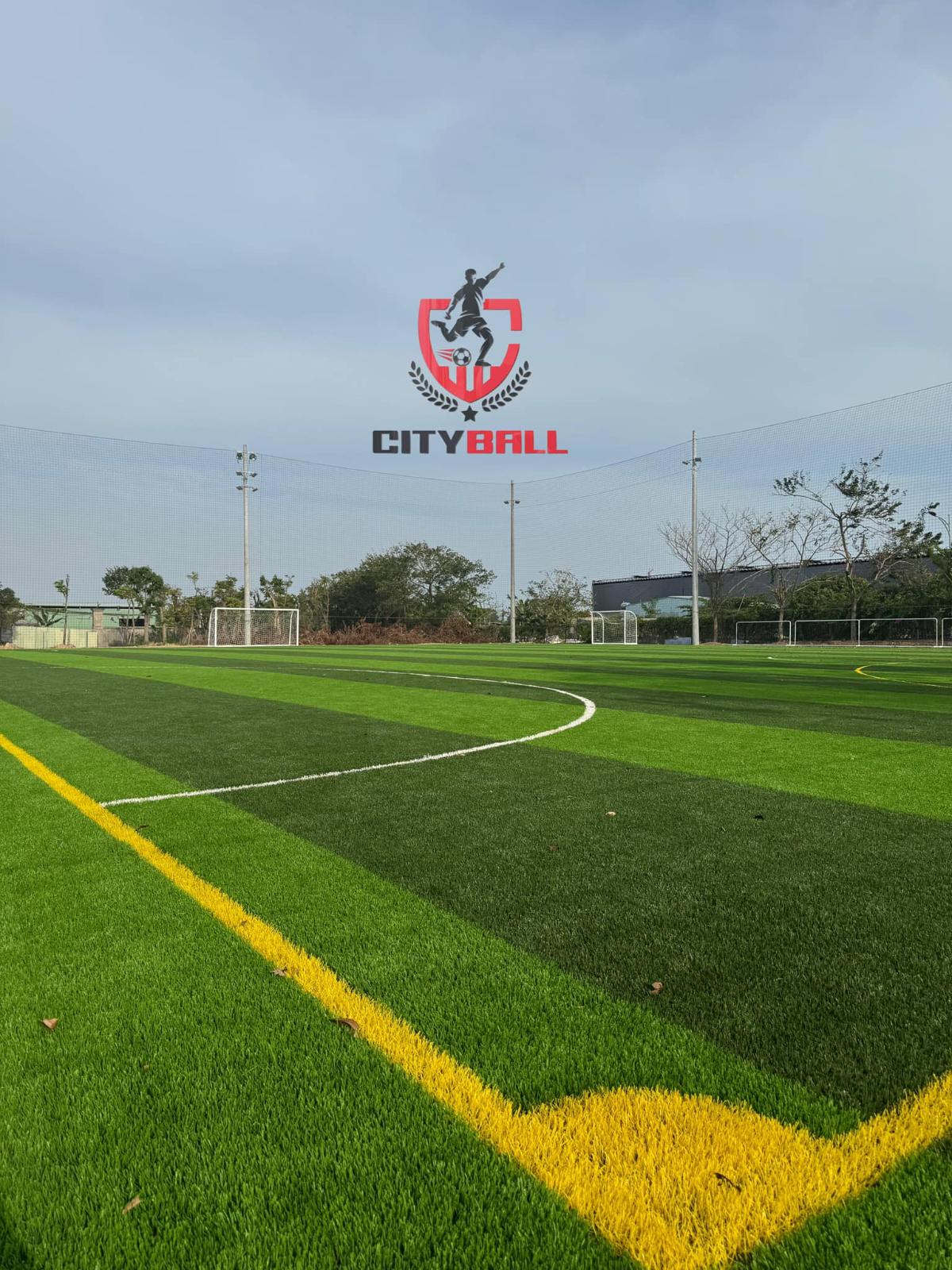 Sân Pickleball City Ball Vũng Tàu