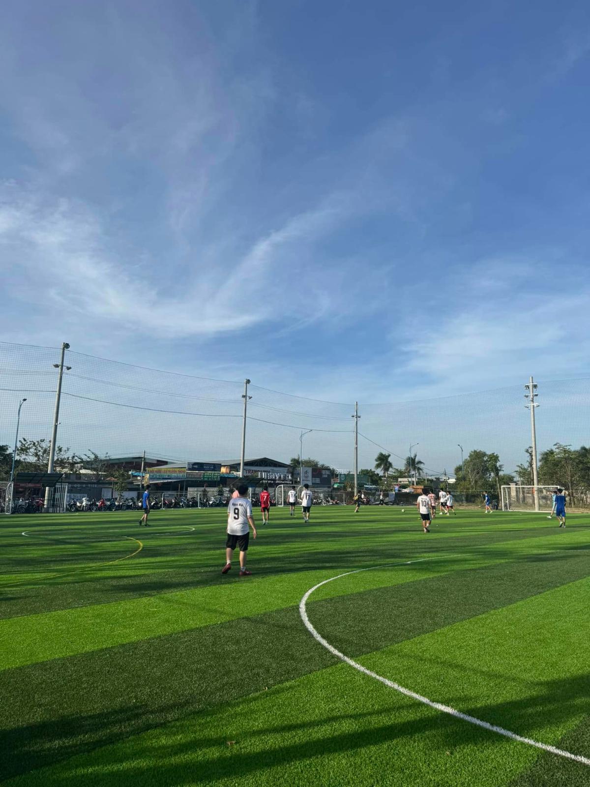 Sân Pickleball City Ball Vũng Tàu