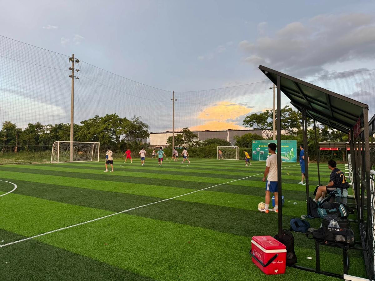 Sân Pickleball City Ball Vũng Tàu