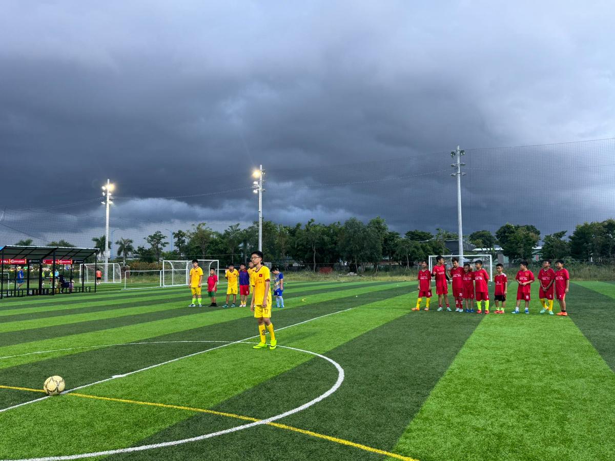 Sân Pickleball City Ball Vũng Tàu