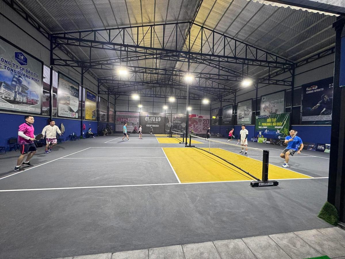 Sân PickleBall Club 89 Hạ Long
