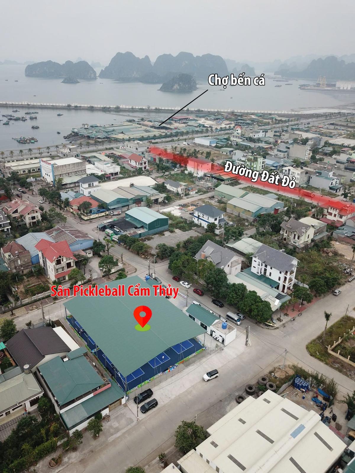 Sân Pickleball Cẩm Thủy