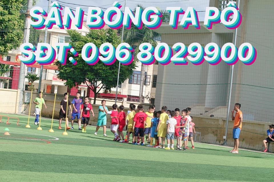 Sân Bóng Đá Tapo