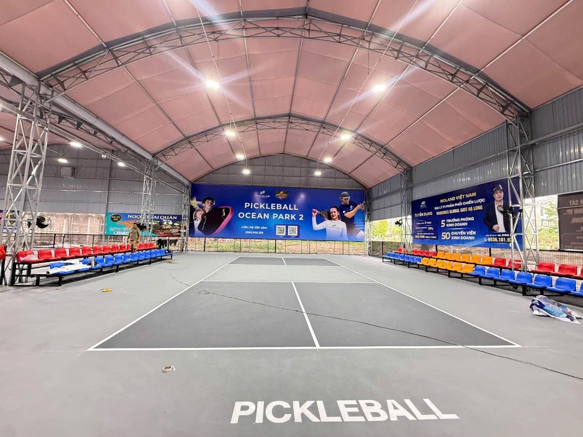Sân Pickleball Ocean Park 2