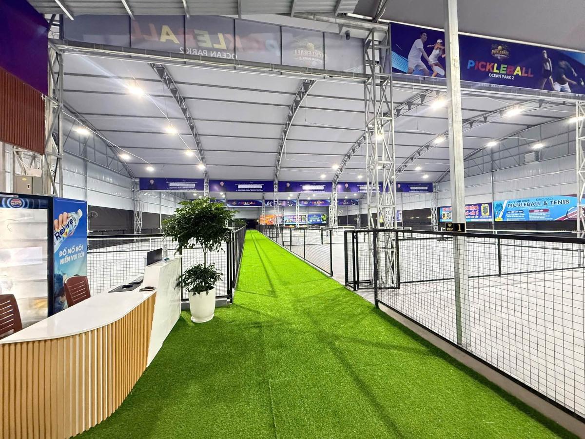 Sân Pickleball Ocean Park 2