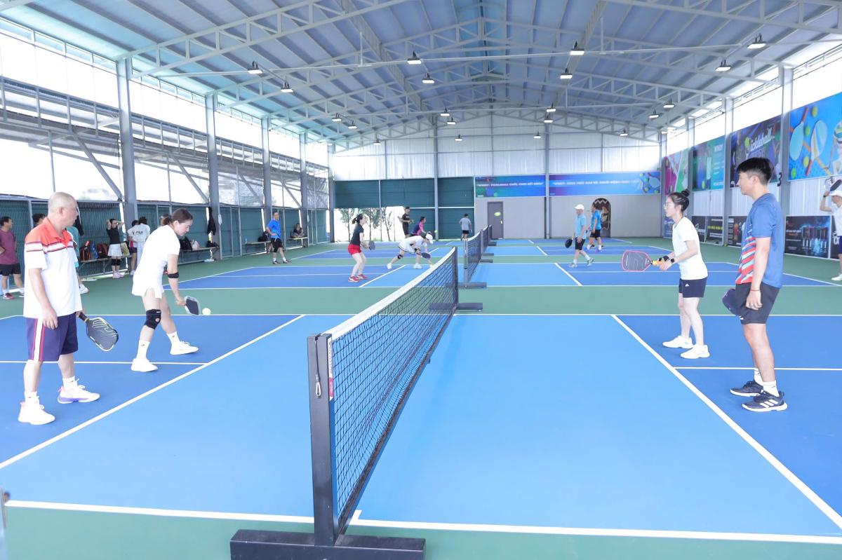  Sân Pickleball Windy