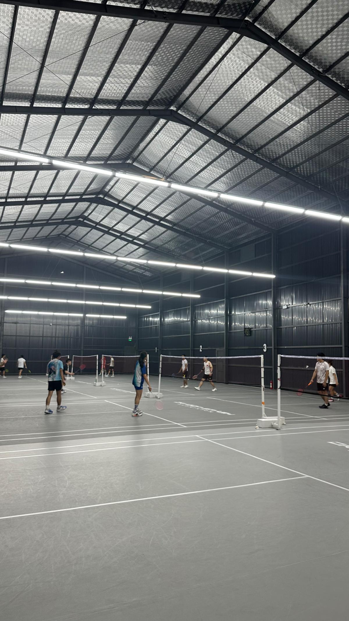 Dragon Smash Badminton