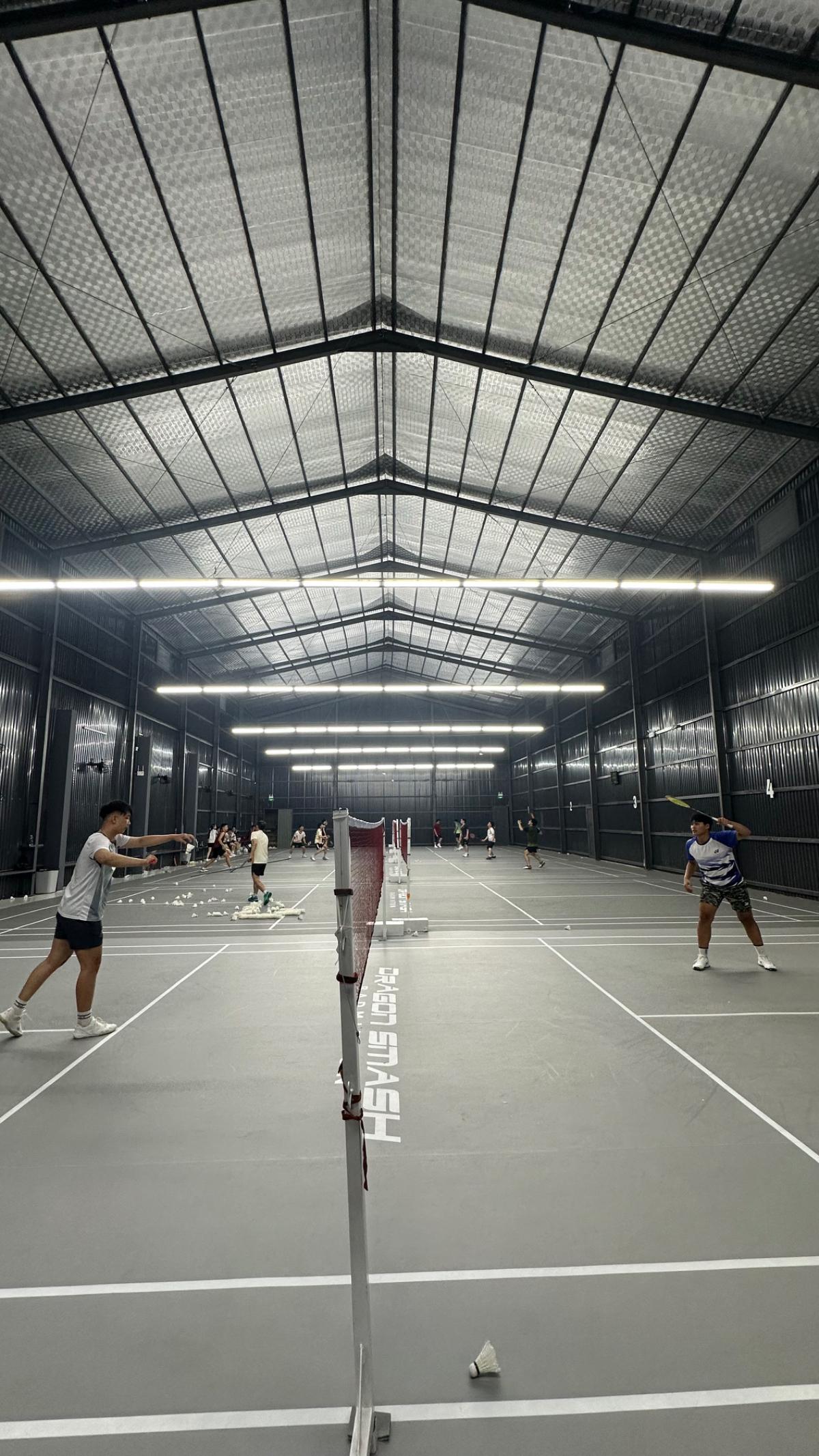 Dragon Smash Badminton