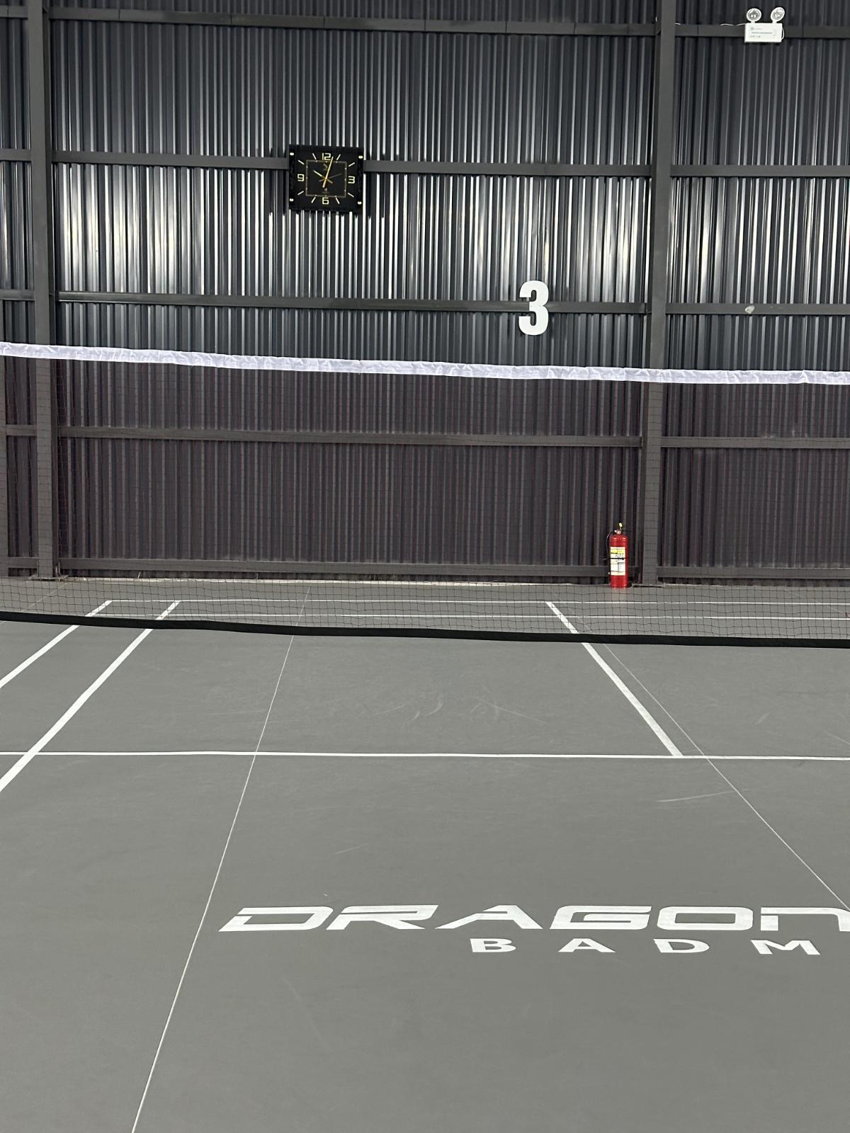 Dragon Smash Badminton
